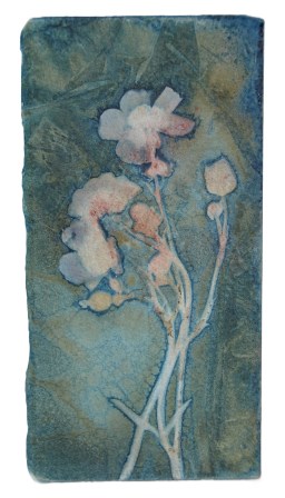 wildebloemenkl6