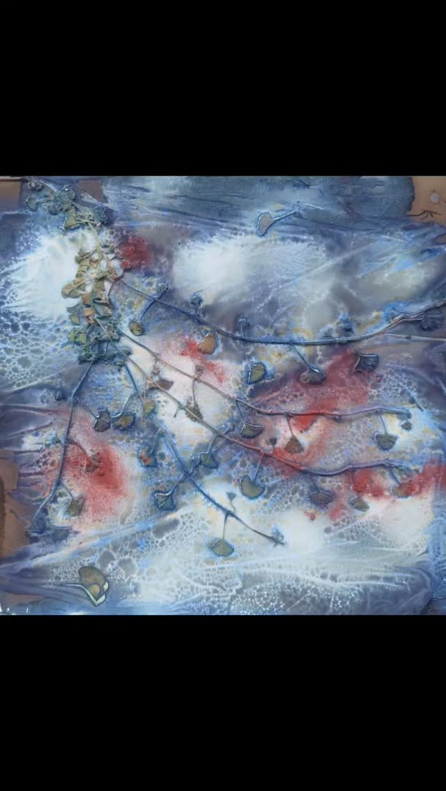 Beauty in the proces.
Enjoy ♥️🙏
#cyanotypeprint #natureprint #naturelove #wetcyanotype #enjoy