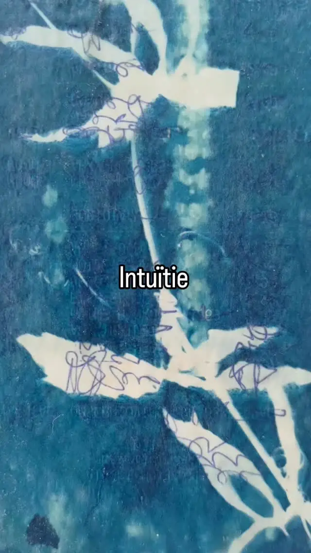 "intuïtie". Mixed media.collage/ drawing 

Practicing listening to my intuition. 

#intuition #cyanotypeprint
#natureprint
#wetcyanotype #naturelover #blueprint #intuitifdrawings #mixedmedia #encausticwax #encausticcyanotypeart #lovewhatido❤️